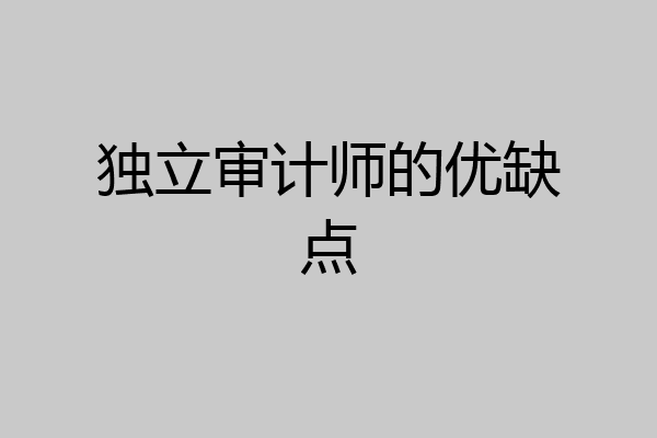 独立审计师的优缺点