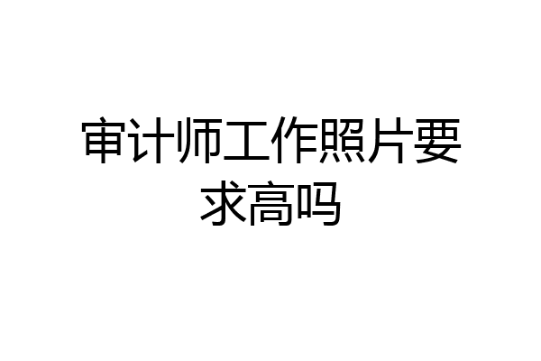 审计师工作照片要求高吗