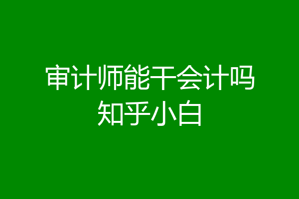 审计师能干会计吗知乎小白
