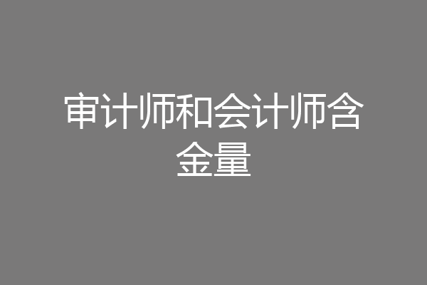 审计师和会计师含金量