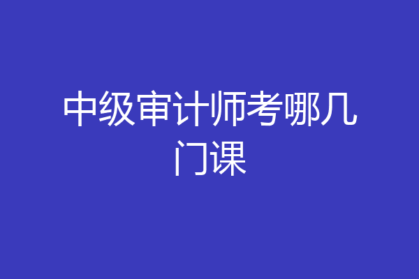 中级审计师考哪几门课
