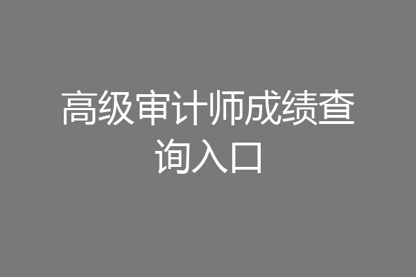 高级审计师成绩查询入口