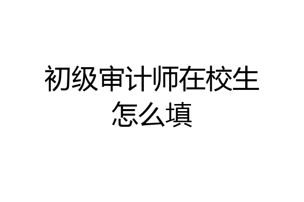 初级审计师在校生怎么填