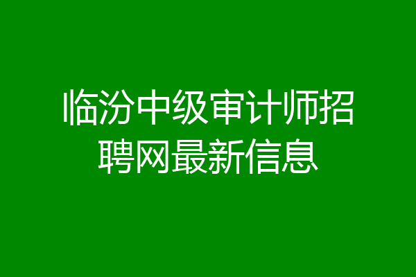 临汾中级审计师招聘网最新信息