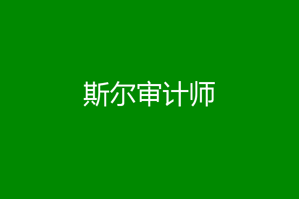 斯尔审计师