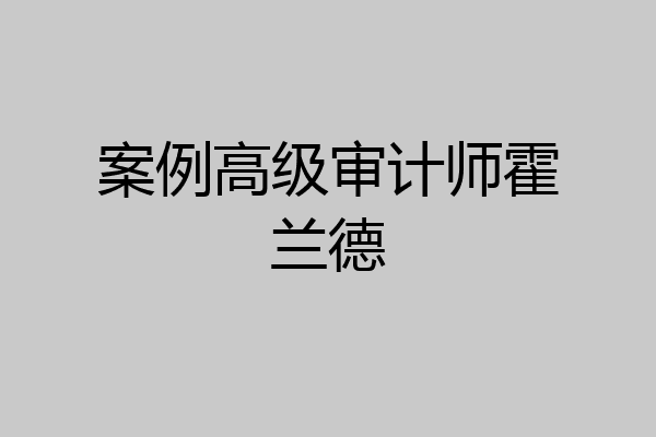 案例高级审计师霍兰德