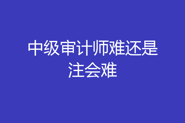 中级审计师难还是注会难