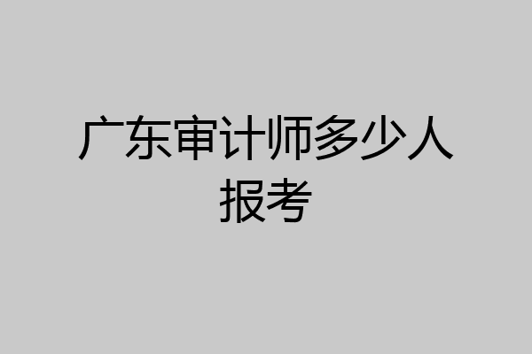 广东审计师多少人报考