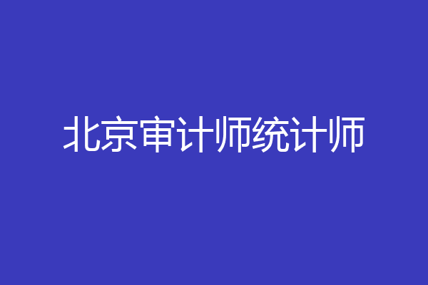 北京审计师统计师
