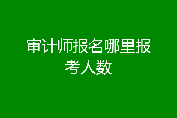 审计师报名哪里报考人数