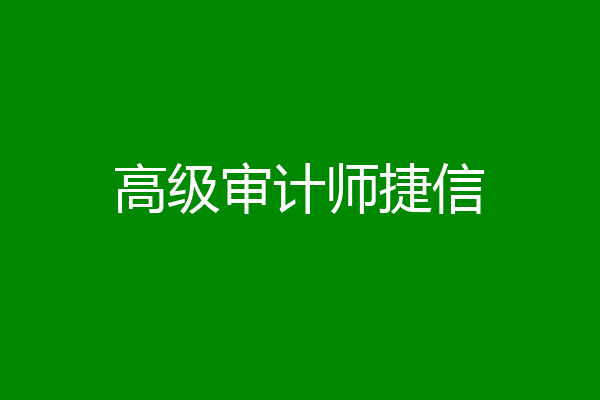 高级审计师捷信