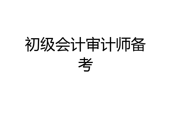 初级会计审计师备考