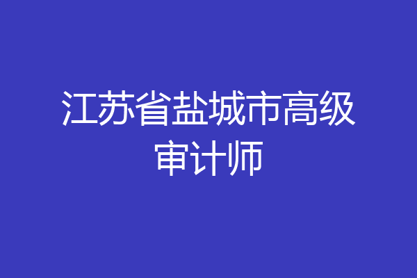 江苏省盐城市高级审计师