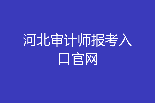 河北审计师报考入口官网