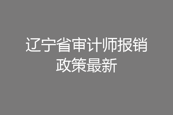 辽宁省审计师报销政策最新