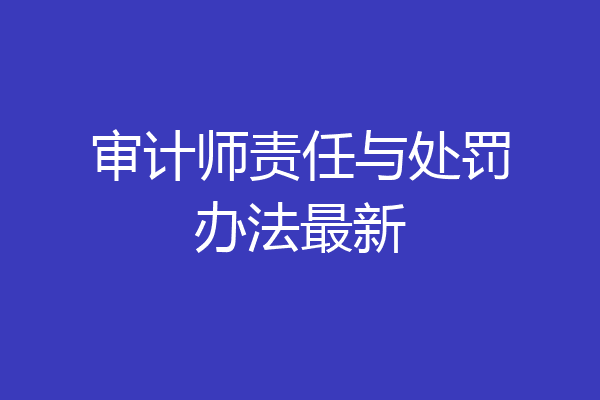 审计师责任与处罚办法最新
