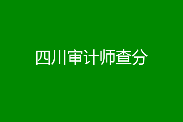 四川审计师查分