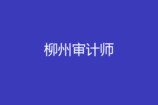 柳州审计师