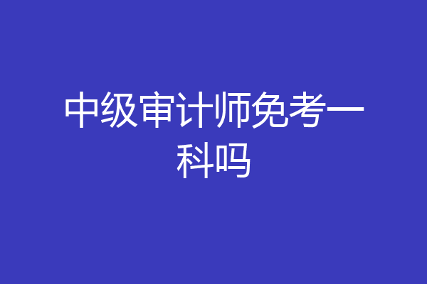 中级审计师免考一科吗
