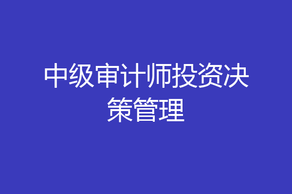 中级审计师投资决策管理