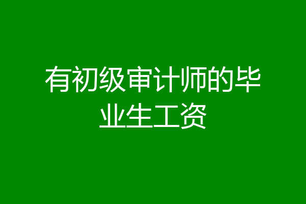有初级审计师的毕业生工资