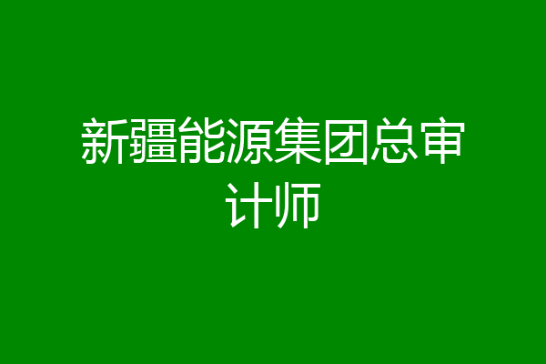 新疆能源集团总审计师
