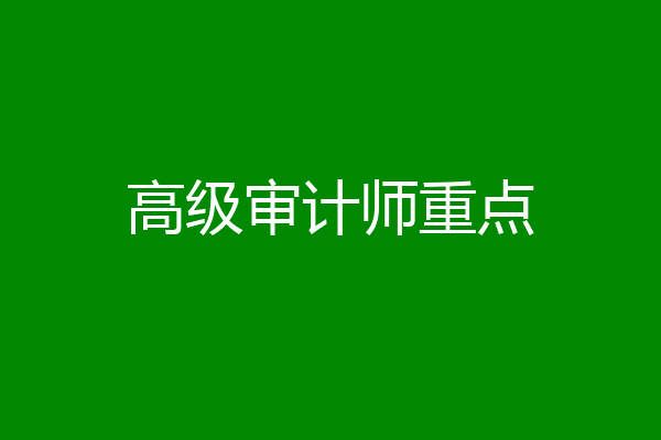 高级审计师重点