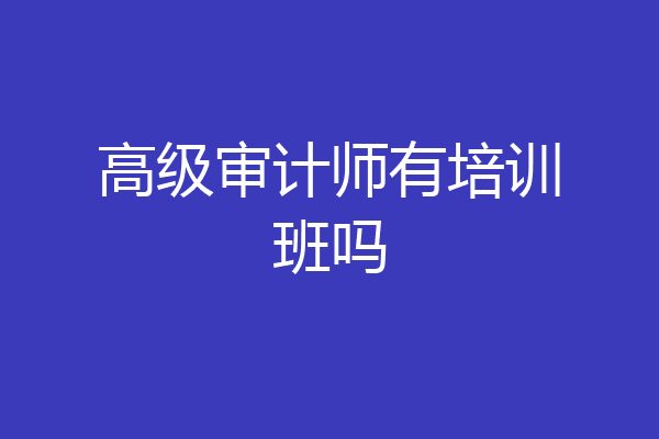 高级审计师有培训班吗