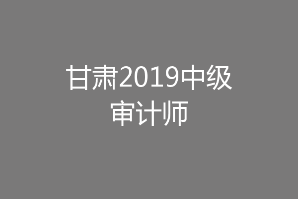 甘肃2019中级审计师