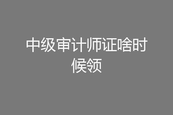 中级审计师证啥时候领