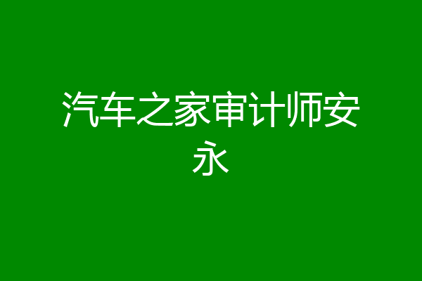 汽车之家审计师安永