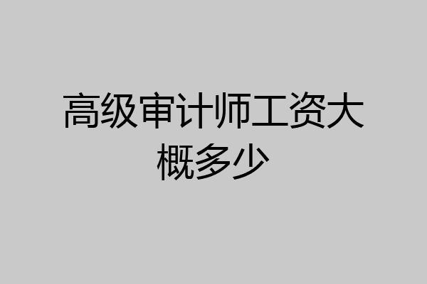高级审计师工资大概多少