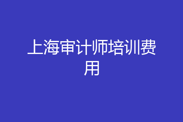 上海审计师培训费用