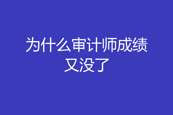 为什么审计师成绩又没了