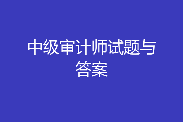 中级审计师试题与答案