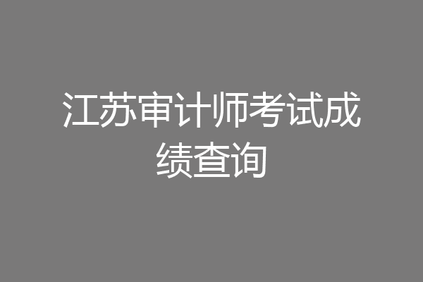 江苏审计师考试成绩查询