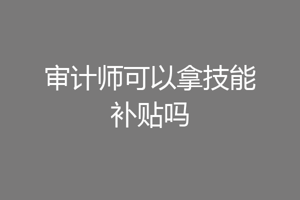 审计师可以拿技能补贴吗