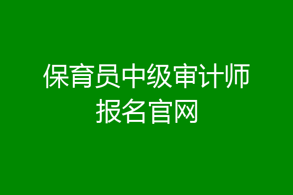 保育员中级审计师报名官网