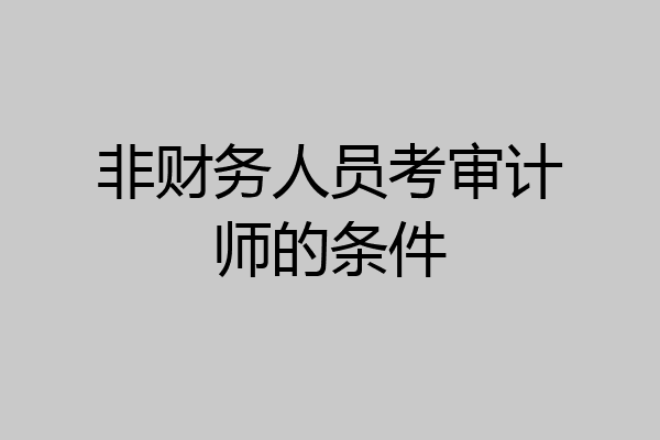 非财务人员考审计师的条件
