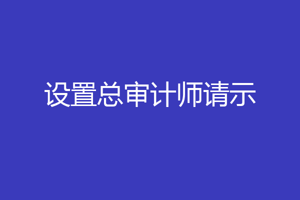 设置总审计师请示