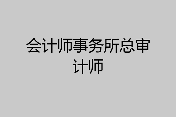 会计师事务所总审计师