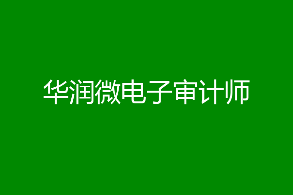 华润微电子审计师