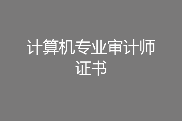 计算机专业审计师证书