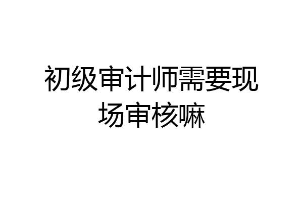 初级审计师需要现场审核嘛