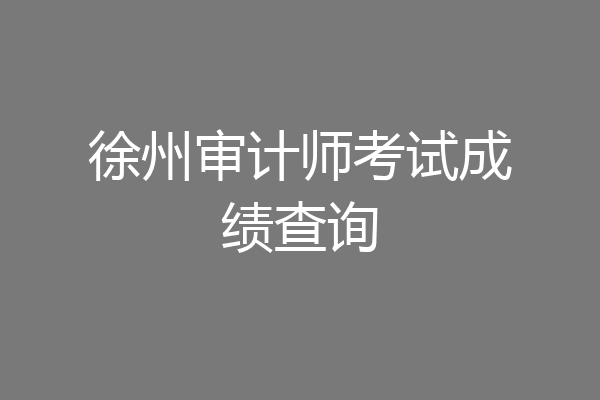 徐州审计师考试成绩查询