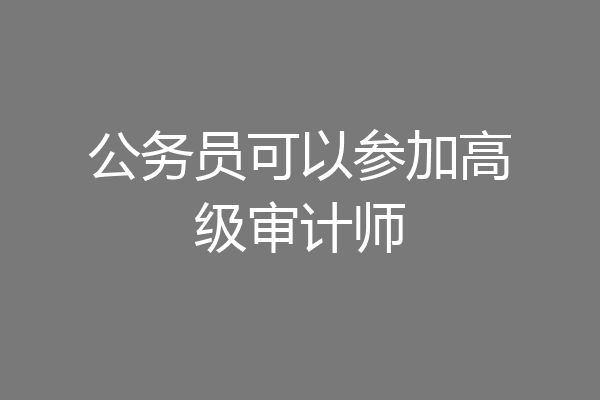 公务员可以参加高级审计师
