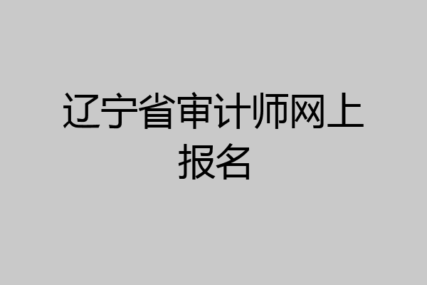 辽宁省审计师网上报名