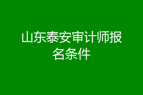 山东泰安审计师报名条件