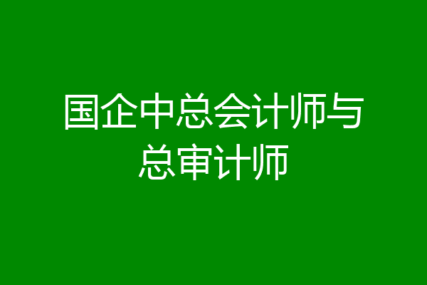 国企中总会计师与总审计师