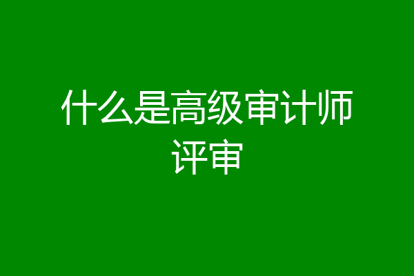 什么是高级审计师评审